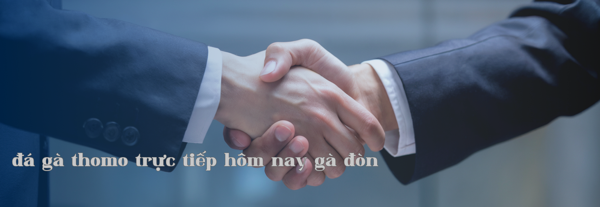 Đối tác